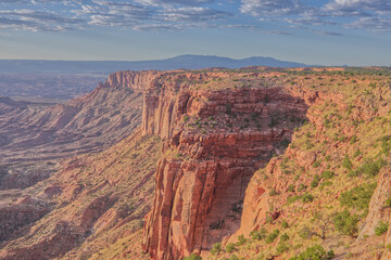 Canyonlands National Park's Buck Canyon Overlook in the Morning