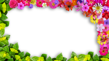 frame made of various kinds of flowers petals and green leaves, suitable for design 