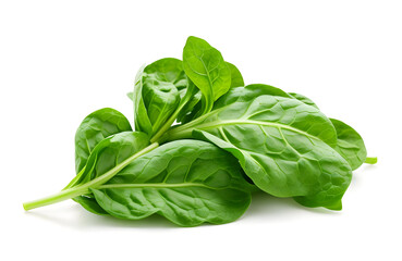 fresh spinach leaves isolated on white background. Close up view.