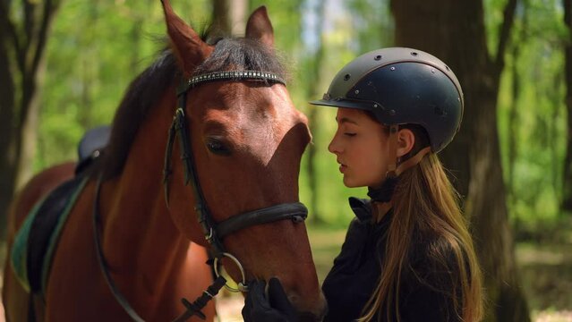 Young charming woman caressing face and mane of graceful horse standing with animal in sunny forest. Positive confident cute Caucasian equestrian in helmet with pet in sunshine outdoors. Slow motion