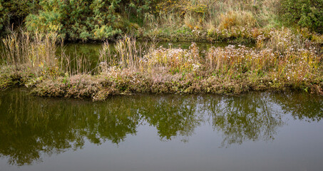 Natural background. Autumn landscape of the Venetian lagoon. Canal with reeds and bushes on the edges. Millecampi Valley, Italy.