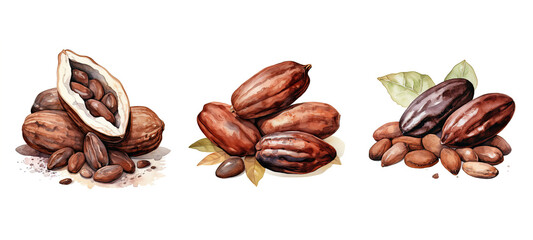 flavor cocoa nut watercolor - obrazy, fototapety, plakaty