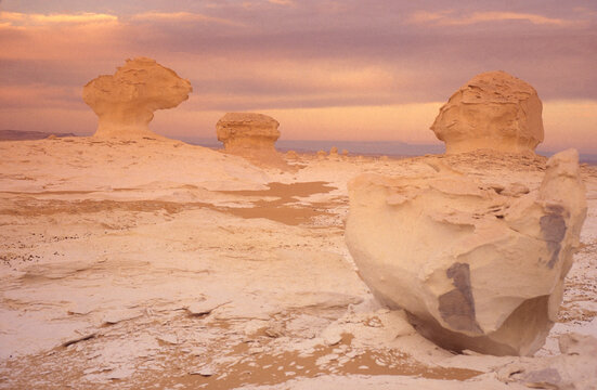 AFRICA EGYPT SAHARA FARAFRA WHITE DESERT