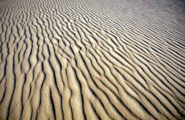 AFRICA EGYPT SAHARA FARAFRA WHITE DESERT