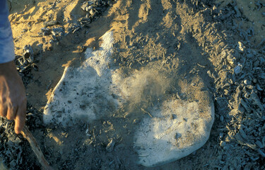 AFRICA EGYPT SAHARA FARAFRA WHITE DESERT