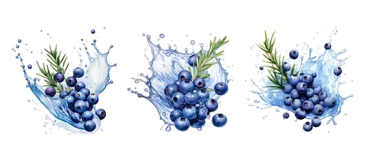 Schilderijen op glas refreshment juniper berry splash juice watercolor © sevector