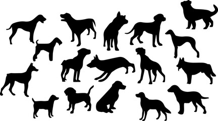 silhouettes collection