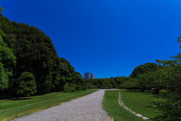 summer sky and urban garden 9