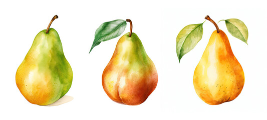 Obraz premium juicy pear watercolor