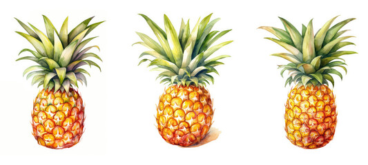 sweet pineapple watercolor