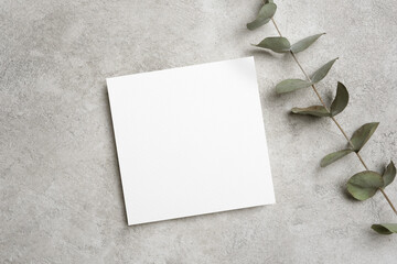 Invitation or greeting card mockup with natural eucalyptus twig, blank card mock up with copy space...