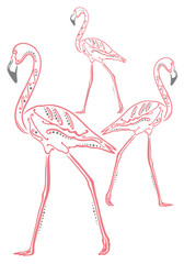 Flamingo mit Ornamenten. Tier Vektor für Strand, Sommerferien, Sommer und Urlaub in rosa mit grau. 