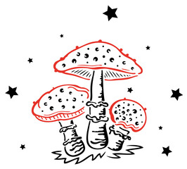 Fliegenpilze Pilze mit Sternen. Herbst Vektor Zeichnung. Schwarz rot.
