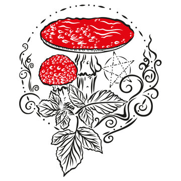 Fliegenpilze Pilze mit Pentagramm Symbol. Herbst Vektor Zeichnung. Schwarz rot.