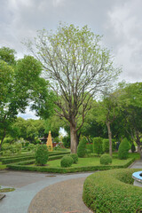 Green trees and shrubs in the park with cloudy sky background.