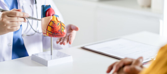 Cardiology Consultation treatment of heart disease. Doctor cardiologist while consultation showing anatomical model of human heart with aged patient talking about heart diseases.