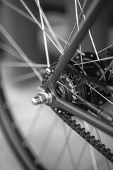 Bicycle wheel close up. Transportation