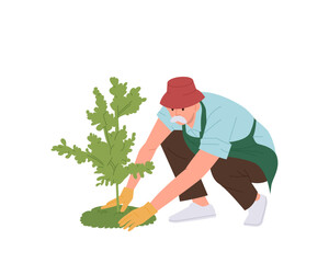 Old senior man gardener cartoon character wearing rubber gloves planting tree sapling in soil hole - obrazy, fototapety, plakaty
