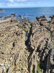 côte bretonne batz sur mer côte sauvage le croisic, ile de batz