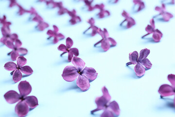 Naklejka na ściany i meble Beautiful lilac flowers on light blue background, closeup