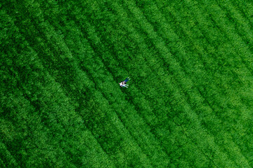 A couple in love on a large green meadow in the park. Drone view of happiness and serenity.