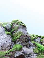 A Rock-formation overgrown with moss