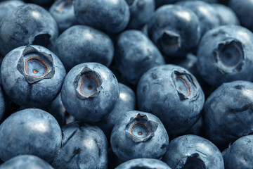 Tasty fresh blueberries as background, closeup view