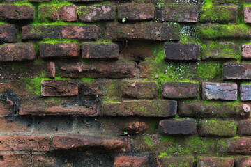 brick walls mossy and eroded by rainwater, unique and ancient bricks