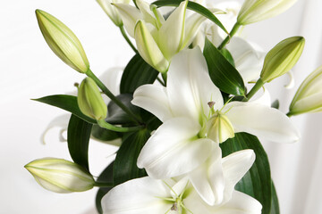 Fototapeta na wymiar Beautiful lily flowers on white background, closeup