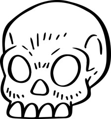 hand drawn skull illustration.
