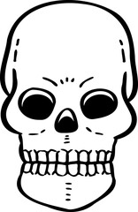 hand drawn skull illustration.