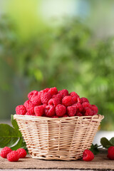 Wicker basket with tasty ripe raspberries and leaves on wooden table against blurred green background, space for text