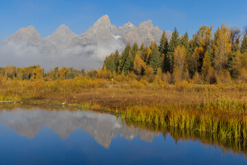 Autumn Landscape Reflection in the Tetons