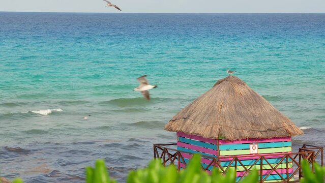 Cancun playa mexicana con olas horizonte en el caribe color azul turquesa con gaviotas pájaros volando sobre el mar una caseta casa choza palapa colorida  de colores llamativa con paja y vegetación