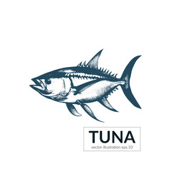 Hand drawn Sketch Seafood Tuna Fish with Inscription Vector Illustration