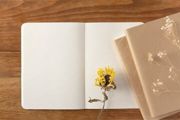 A few books, an unwritten spread notebook, and dried sunflower and hazelnuts