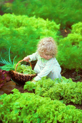 Sara in the Garden.