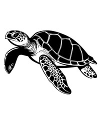 Flower Turtle svg, Sea Turtle svg, Turtle svg file, Turtle with flower frame svg png, Ocean Animal svg, Turtle Silhouette, Beach Turtle svg
