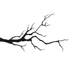 branch silhouette vector art illustration design