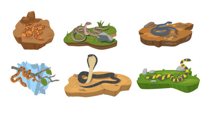 Fototapeta premium Various snakes crawling on the ground and tree, flat vector illustration isolated on white background.