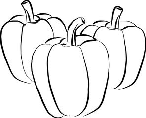 Capsicum Sketch Vegetable