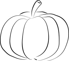 Pumpkin Sketch Vegetable