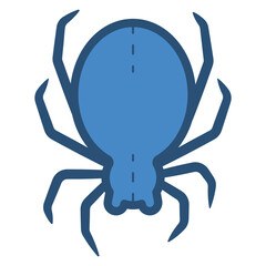 spider illustration