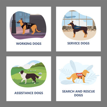 Assistance rescue and service dogs banners and badges set vector isolated.