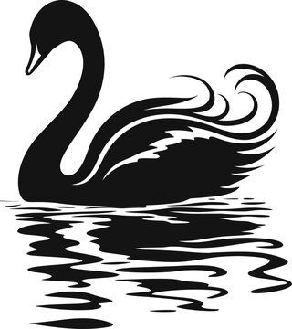 recommend clip art: black swan on white