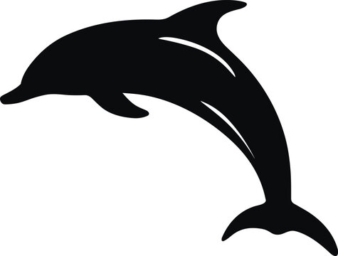 Dolphin Silhouette Images – Browse 35,752 Stock Photos, Vectors, and Video  | Adobe Stock