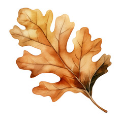 Fototapeta premium Brown Autumn Oak Leaf, Isolated on Transparent Background Single Fall Foliage PNG
