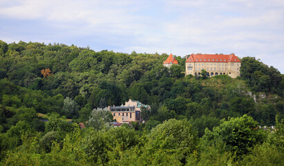 Fototapeta na wymiar Castle in Przegorzaly, Krakow, Poland