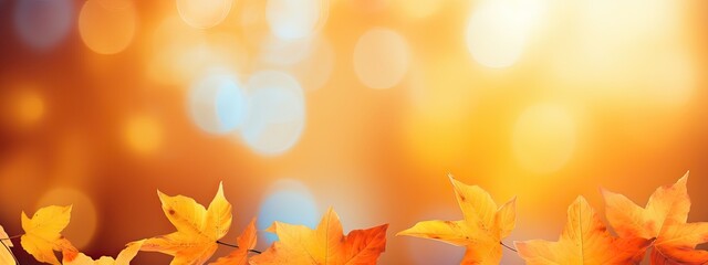 Naklejka na ściany i meble Colorful universal natural autumn background for design with orange leaves and blurred background