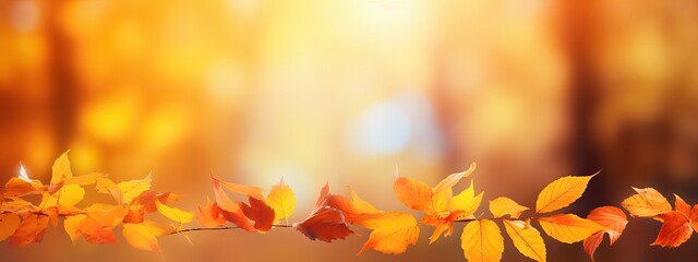 Naklejka na ściany i meble Colorful universal natural panoramic autumn background for design with orange leaves and blurred background